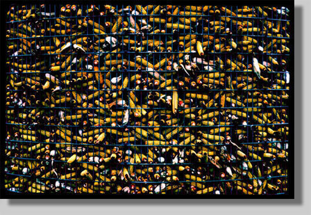 david l. nelson, corn, silo, giclee, abstraction