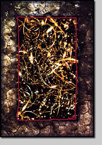 david l. nelson, giclee, art print, artist, abstract, gold