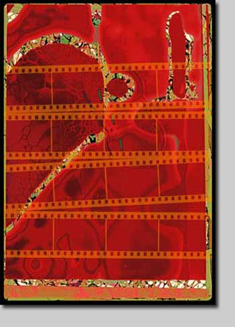 david nelson, giclee, phantom, xray, abstract