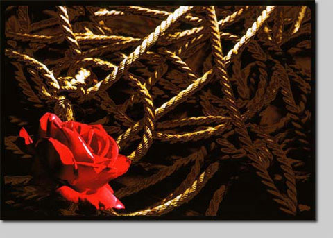 david l. nelson, artist, photograph, abstract, giclee